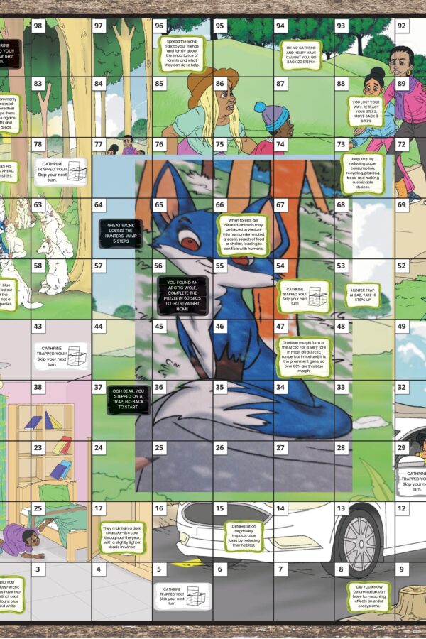 Linsey and the Blue Fox Board Game